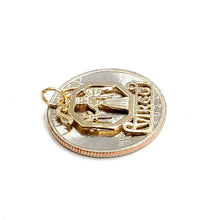 Load image into Gallery viewer, New 14k yellow Gold Virgo zodiac sign Pendant charm astrology fine jewelry 1.2g