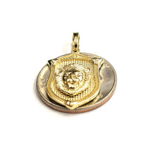Load image into Gallery viewer, 14k yellow solid Gold lion Leo head face shield Pendant charm fine jewelry 3.7g