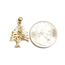 Load image into Gallery viewer, 14k yellow gold lebanon cedar tree lucky pendant charm gift fine jewelry 2.5g