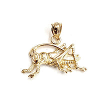 Load image into Gallery viewer, 14k yellow Gold solid cricket insect Pendant charm gift fine jewelry 1.9g
