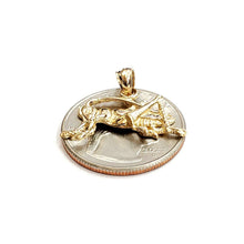 Load image into Gallery viewer, 14k yellow Gold solid cricket insect Pendant charm gift fine jewelry 1.9g