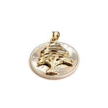 Load image into Gallery viewer, 14k yellow gold lebanon cedar tree lucky pendant charm gift fine jewelry 2.5g