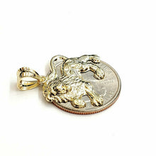Load image into Gallery viewer, 10k yellow Gold lion full body Leo zodiac Pendant charm gift fine jewelry 1.9g