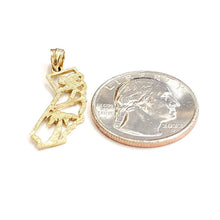 Load image into Gallery viewer, New 14k yellow gold California outline map pendant charm palm fine jewelry 1.4g