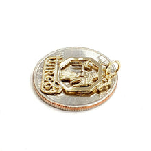 Load image into Gallery viewer, New 14k yellow Gold Virgo zodiac sign Pendant charm astrology fine jewelry 1.2g
