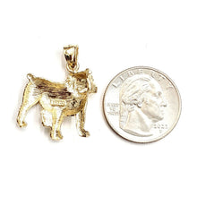 Load image into Gallery viewer, 14k yellow Gold bulldog full body pet animal Pendant charm fine jewelry 4.5g