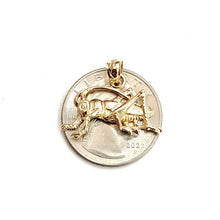 Load image into Gallery viewer, 14k yellow Gold solid cricket insect Pendant charm gift fine jewelry 1.9g