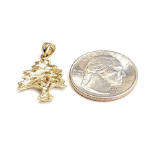 Load image into Gallery viewer, 14k yellow gold lebanon cedar tree lucky pendant charm gift fine jewelry 2.5g