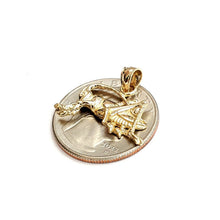 Load image into Gallery viewer, 14k yellow Gold solid cricket insect Pendant charm gift fine jewelry 1.9g