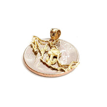Load image into Gallery viewer, 14k yellow gold Mexico outline map pendant charm gift fine jewelry unisex 1.2g
