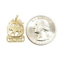 Load image into Gallery viewer, New 14k yellow Gold taurus bull zodiac sign astrology Pendant charm jewelry 1.4g
