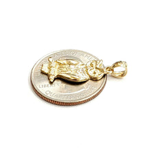 Load image into Gallery viewer, New 14k yellow gold owl bird good luck pendant charm gift fine jewelry 1.9g