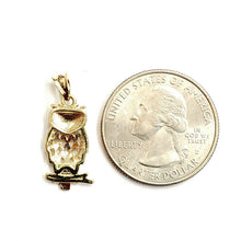 Load image into Gallery viewer, 14k yellow gold owl full body pendant charm gift fine jewelry diamond cut 1.3g