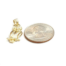 Load image into Gallery viewer, New 14k yellow gold owl bird good luck pendant charm gift fine jewelry 1.9g