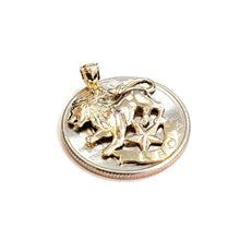 Load image into Gallery viewer, 14k yellow Gold lion Leo zodiac sign astrology Pendant charm fine jewelry 2g