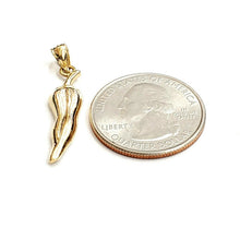 Load image into Gallery viewer, New 14k yellow gold Chili Pepper pendant charm gift fine jewelry 1.7g