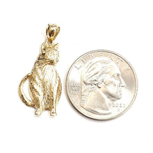 Load image into Gallery viewer, New 14k solid yellow Gold cat full body Pendant charm fine jewelry gift pet 2.3g