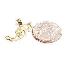 Load image into Gallery viewer, 14k yellow gold Mexico outline map pendant charm gift fine jewelry unisex 1.2g