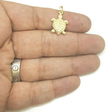 Load image into Gallery viewer, New 14k yellow gold hollow turtle full body pendant charm fine gift jewelry 1.3g