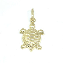 Load image into Gallery viewer, New 14k yellow gold hollow turtle full body pendant charm fine gift jewelry 1.3g