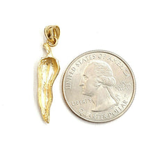Load image into Gallery viewer, New 14k yellow gold Chili Pepper pendant charm gift fine jewelry 1.7g