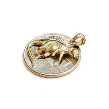 Load image into Gallery viewer, 14k yellow Gold Dinosaur Full body animal Jurassic Pendant charm jewelry 1.8g
