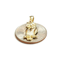 Load image into Gallery viewer, New 14k yellow gold owl bird good luck pendant charm gift fine jewelry 1.9g