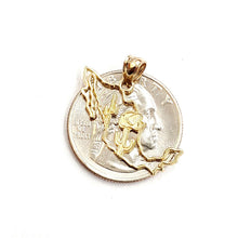 Load image into Gallery viewer, 14k yellow gold Mexico outline map pendant charm gift fine jewelry unisex 1.2g