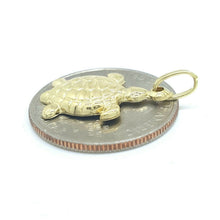 Load image into Gallery viewer, New 14k yellow gold hollow turtle full body pendant charm fine gift jewelry 1.3g