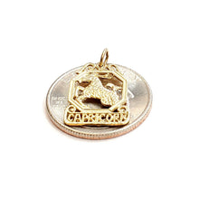 Load image into Gallery viewer, 14k yellow Gold Capricorn zodiac sign astrology Pendant charm fine jewelry 1.2g