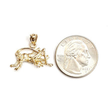 Load image into Gallery viewer, 14k yellow Gold solid cricket insect Pendant charm gift fine jewelry 1.9g
