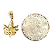 Load image into Gallery viewer, 14k yellow gold maple leaf pendant charm gift unisex fine jewelry 1.5g
