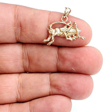 Load image into Gallery viewer, 14k yellow Gold solid cricket insect Pendant charm gift fine jewelry 1.9g
