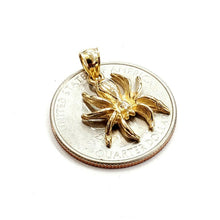 Load image into Gallery viewer, New 14k yellow Gold solid Spider Pendant charm fine jewelry 2.1g
