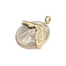 Load image into Gallery viewer, New 14k yellow gold Florida outline map pendant charm gift fine jewelry 2g
