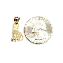 Load image into Gallery viewer, New 14k solid yellow Gold cat full body Pendant charm jewelry fine gift pet 1g
