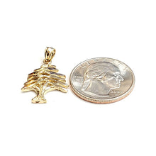Load image into Gallery viewer, 14k yellow gold lebanon cedar tree lucky pendant charm gift fine jewelry 2.5g
