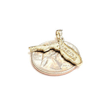 Load image into Gallery viewer, New 14k yellow gold Florida outline map pendant charm gift fine jewelry 2g
