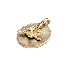 Load image into Gallery viewer, New 14k yellow Gold lizard Pendant animal charm gift fine jewelry 2g
