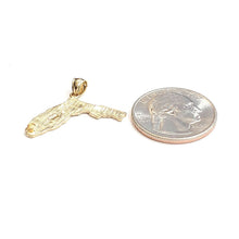 Load image into Gallery viewer, New 14k yellow gold Florida outline map pendant charm gift fine jewelry 2g
