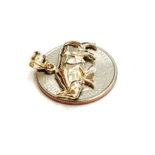 Load image into Gallery viewer, 14k yellow solid Gold taurus bull zodiac Pendant charm fine gift jewelry 3.1g
