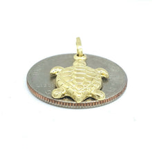 Load image into Gallery viewer, New 14k yellow gold hollow turtle full body pendant charm fine gift jewelry 1.3g
