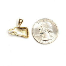 Load image into Gallery viewer, New 14k yellow Gold eagle Head Pendant charm gift fine jewelry unisex 1.7g
