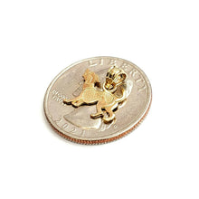 Load image into Gallery viewer, 14k yellow Gold tiny dog full body Pendant charm fine jewelry gift pet 0.6g
