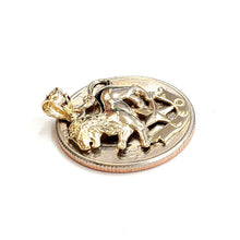 Load image into Gallery viewer, 14k yellow Gold lion Leo zodiac sign astrology Pendant charm fine jewelry 2g
