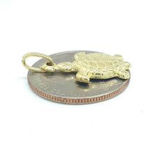 Load image into Gallery viewer, New 14k yellow gold hollow turtle full body pendant charm fine gift jewelry 1.3g
