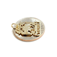 Load image into Gallery viewer, New 14k yellow Gold taurus bull zodiac sign astrology Pendant charm jewelry 1.4g
