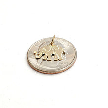 Load image into Gallery viewer, 14k yellow Gold tiny elephant Pendant charm unisex good luck fine jewelry 0.8g
