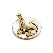 Load image into Gallery viewer, New 14k yellow gold frog pendant charm shiny gift unisex fine jewelry 2.9g
