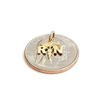 Load image into Gallery viewer, 14k yellow Gold tiny RN caduceus medical sign nurse Pendant fine jewelry 0.5g
